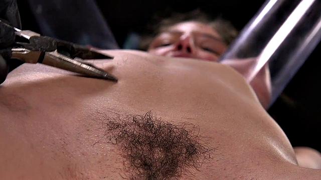 Hairybush tit cupped and fucked