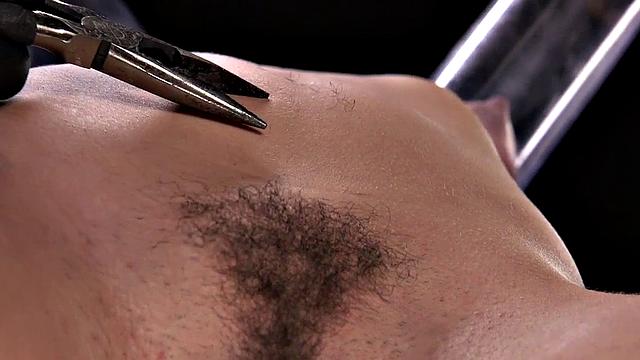Hairybush tit cupped and fucked