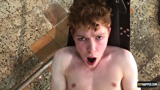 Two Twink Newbies Get Barebacked! Part 3 - Alex Faux, Avery Monroe, Sean Taylor, Sebastian Kane