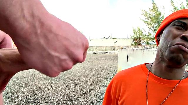 Real picked up Ebony drilled outdoors in public place