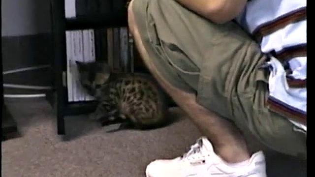 Sucking Straight Boy Paulie