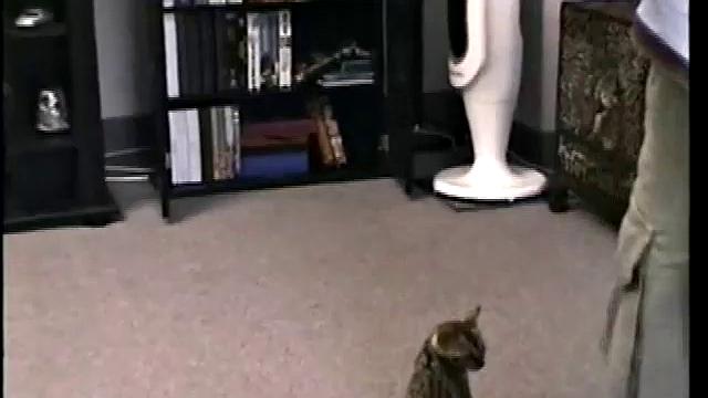 Sucking Straight Boy Paulie