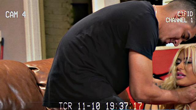 Internet Creeper - Taming The Auditor - Brandie Bae