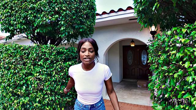 Воришка пришел за трофеем, а ушел с лицом в сливках