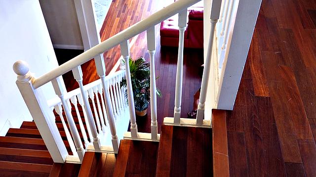 A busty Asian named Minka