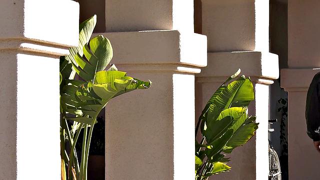 Curvy Violet Starr Gets Sloppy & Creamed By 2 Monster Cocks - BlacksOnBlondes