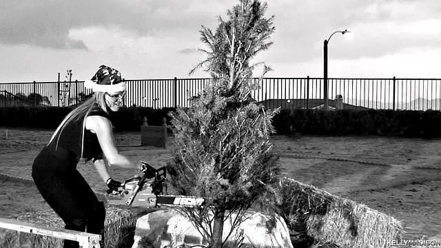 Kelly Gets Tree