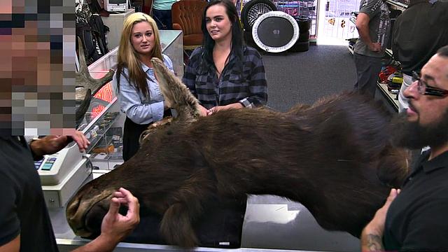 Pawnshop amateur sucking manager before fucking