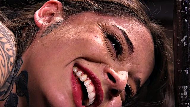 Submissive tattooed babe whipped after dildo blowjob