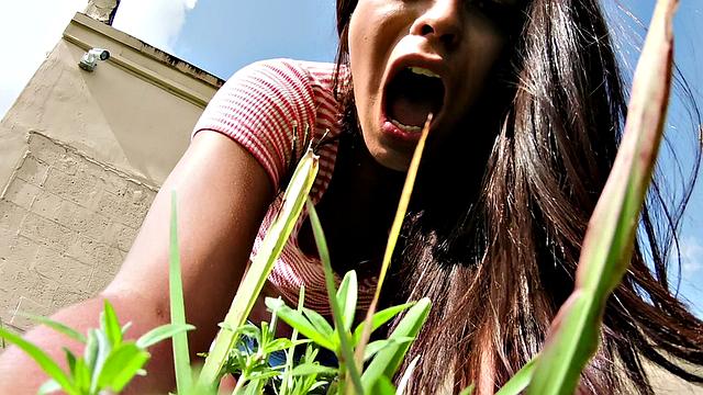 Watch how these hot Latinas go wild with their mouths, cock, and pussy during a marathon of interracial fucking and doggystyle sex