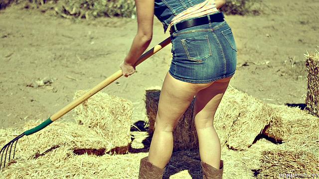 Rough Rider #4