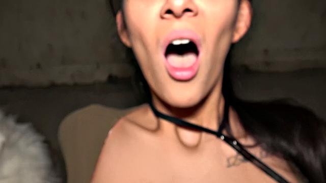 Watch Darcia Lee take a wild ride under a bridge and smile while getting pounded in doggystyle