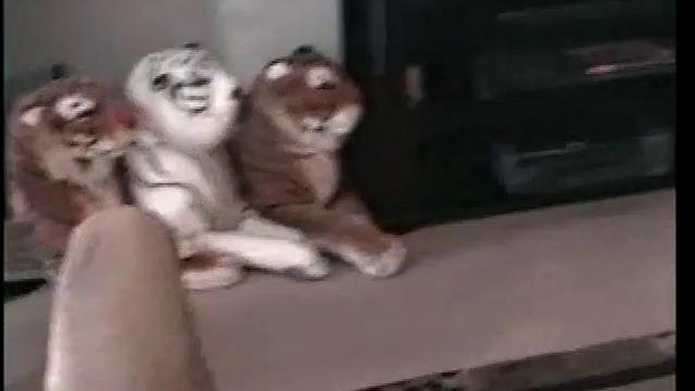 Sucking Straight Enrique