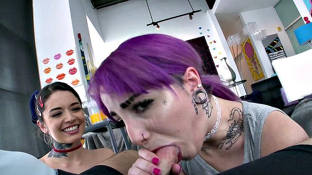 Vanessa and Val's Display