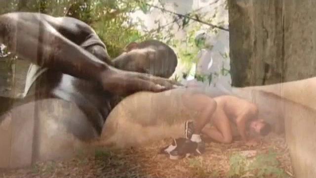 смотри, как леандро круз получает по полной от алефа карвальо