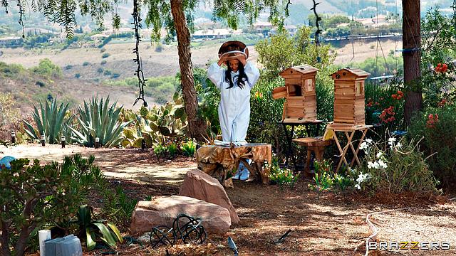 Анжела Уайт лечит укушенный член Виктора медом и страстью на пасеке