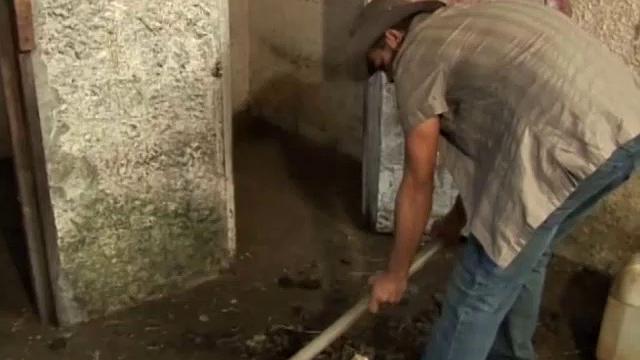 Felipe comes into the barn after a hard day to find sexy Latino Gabriel working up a sweat. Big dick Felipe is horny and talks Gabriel into taking advantage of their solitude, and the two begin one HOT bareback fuck fest in the barn.