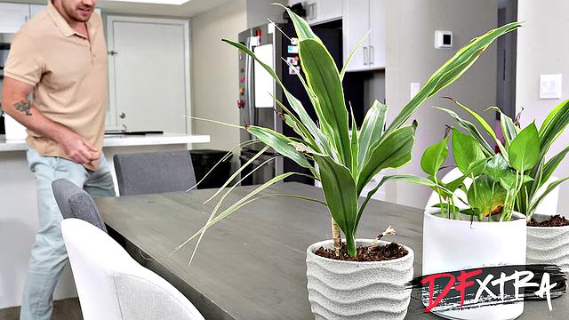 Big Booty Ebony Creampied By Separated Neighbor - DogfartNetwork