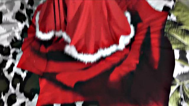 Santa's little slut Gina hammered in POV