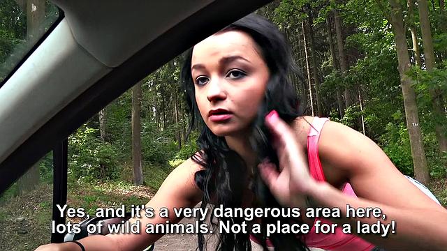 Horny Hitchhiker's Wild Fuck