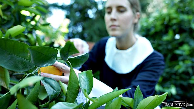 Feral And Wild, Scene #01