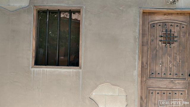 Feral And Wild, Scene #01