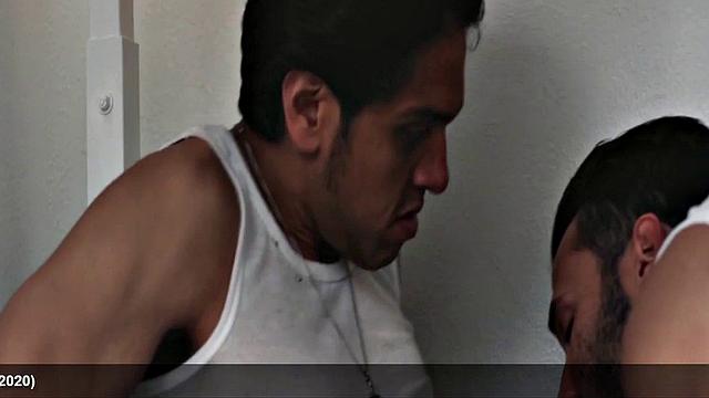 Jesse Tayeh average sized cock