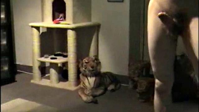 Straight Cory Needs Lips