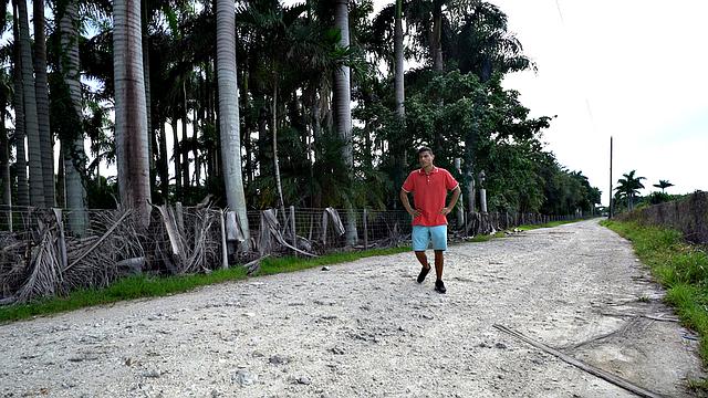 Helpless Boys - Rodrigo Dominated