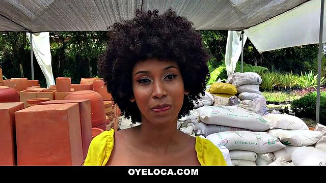 Exquisite Latina Loving