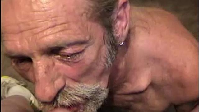 This is one scrappy little guy. For a man over 60, he can hold his own with the young ones. He's become a friend and sometimes lover, and will make you feel like a million dollars. He'll also bullshit you, whenever he gets the opportunity.