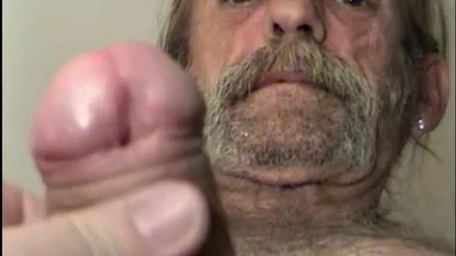 This is one scrappy little guy. For a man over 60, he can hold his own with the young ones. He's become a friend and sometimes lover, and will make you feel like a million dollars. He'll also bullshit you, whenever he gets the opportunity.