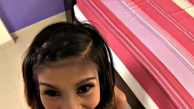 Lamay Asian Girls Wild