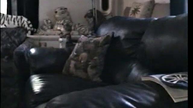 Straight Cory Cums Twice