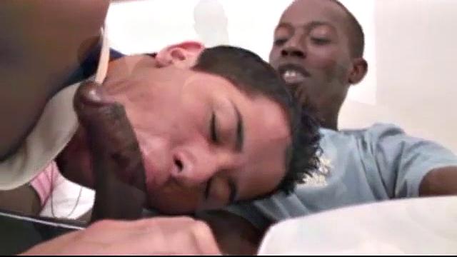 Martino, Otavio, Olavo