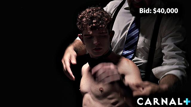 The Auction Canyon Vol. 1