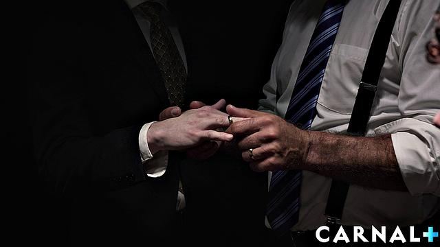 The Auction Canyon Vol. 1