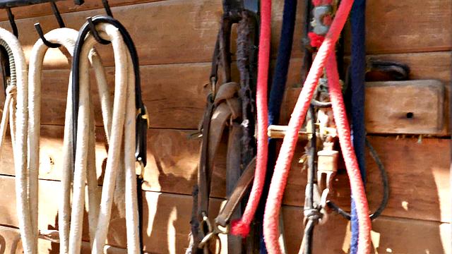 Lisa Ann & Brett Rossi Three-way