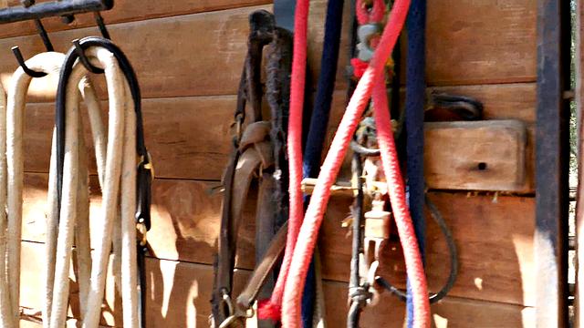 Lisa Ann & Brett Rossi Three-way