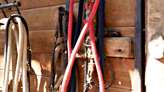 Lisa Ann & Brett Rossi Three-way