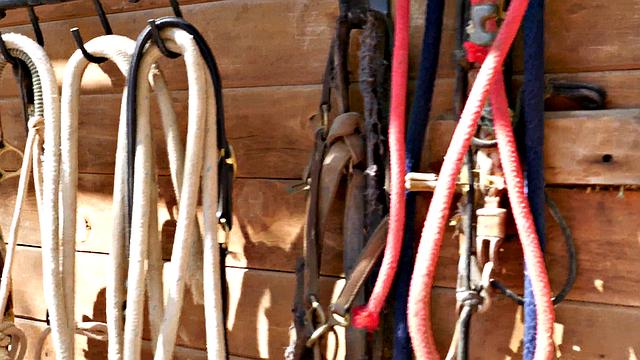 Lisa Ann & Brett Rossi Three-way