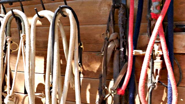 Lisa Ann & Brett Rossi Three-way