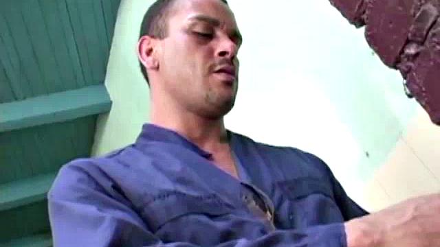 Gomez and Luis de Pavia