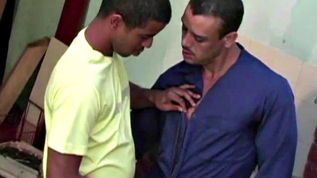 Gomez and Luis de Pavia