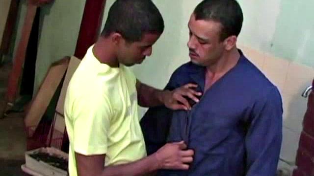 Gomez and Luis de Pavia