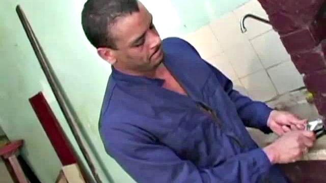 Gomez and Luis de Pavia