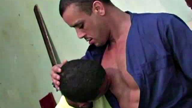 Gomez and Luis de Pavia