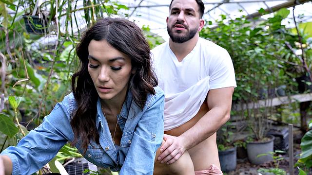 Fucking with the Ficus