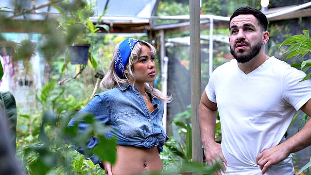 Fucking with the Ficus