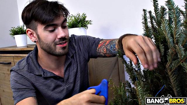 Мэйси Джейд раздевается перед елкой и получает горячий секс от Nade Nasty.